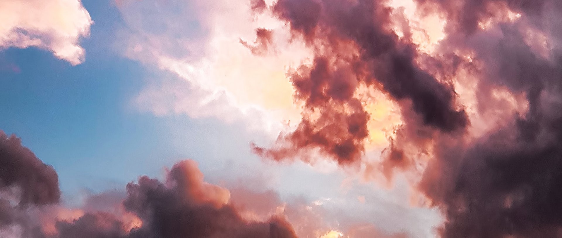 Nature8_2120x900